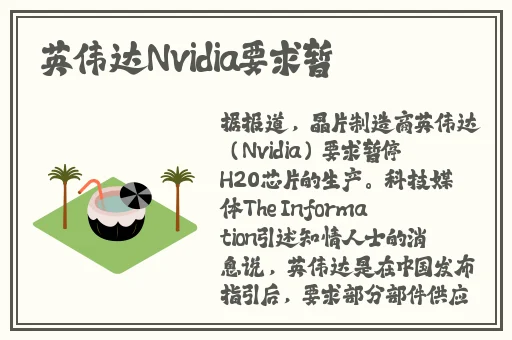 美美哒免费高清影院在线观看百度